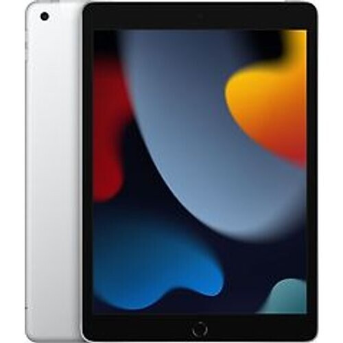 Apple iPad 10,2 256GB [wifi + cellular, model 2021] zilver