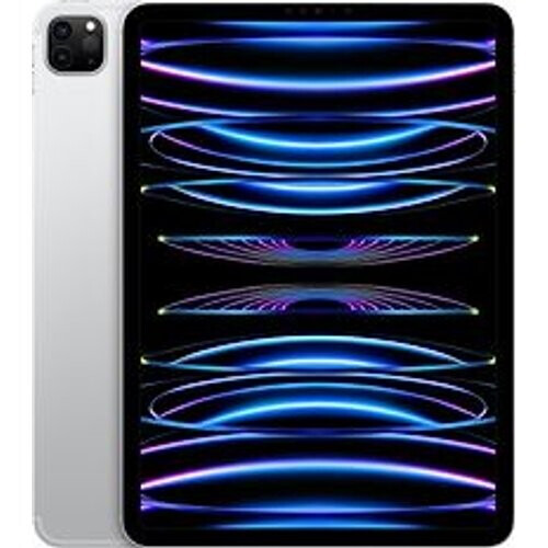 Apple iPad Pro 11 256GB [wifi + cellular, model 2022] zilver