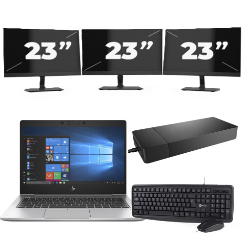 HP EliteBook 735 G6 - AMD Ryzen 5 PRO 3500U - 13 inch - 8GB RAM - 256GB SSD - Windows 10 + 3x 23 inch Monitor