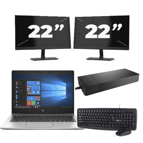 HP EliteBook 735 G6 - AMD Ryzen 7 PRO 3700U - 13 inch - 8GB RAM - 256GB SSD - Windows 10 Home + 2x 22 inch Monitor