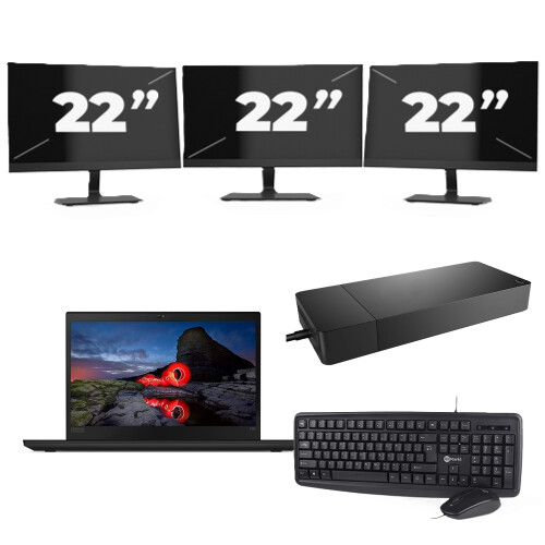 Lenovo ThinkPad T495 - AMD Ryzen 5 PRO 3500U - 14 inch - 16GB RAM - 256GB SSD - Windows 11 Home + 3x 22 inch Monitor