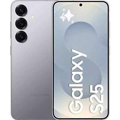 Samsung Galaxy S25 Dual SIM 512GB silver shadow