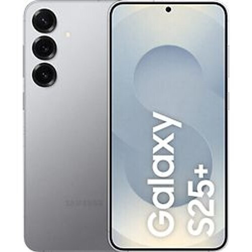Samsung Galaxy S25 Plus Dual SIM 512GB silver shadow