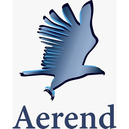 Tweedekans Aerend - 12 LED Theelichtjes