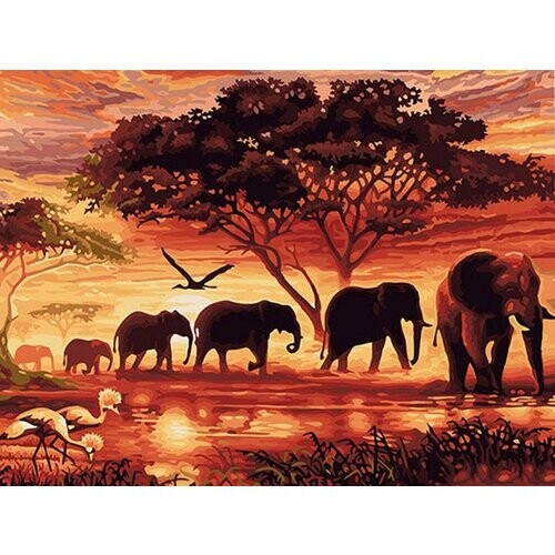 Tweedekans Rubye® Diamond Painting Volwassenen - Diamond Painting Kinderen - Olifanten Familie - 30x40cm