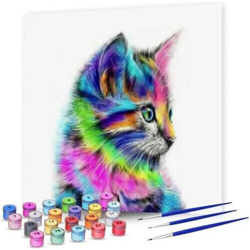 Tweedekans Rubye® Schilderen Op Nummer Volwassenen – Kleurrijke Kat – Inclusief Verf en Penselen – Canvas Schildersdoek – Kleuren op Nummer – 40x50cm