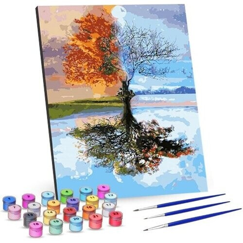 Tweedekans Rubye® Schilderen Op Nummer Volwassenen – Vier Seizoenen – Met Canvas Schildersdoek en Penselen - 40x50cm